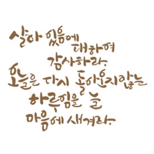 디자인엠 살아있음에 캘리그라피 포인트 스티커, 샌디브라운