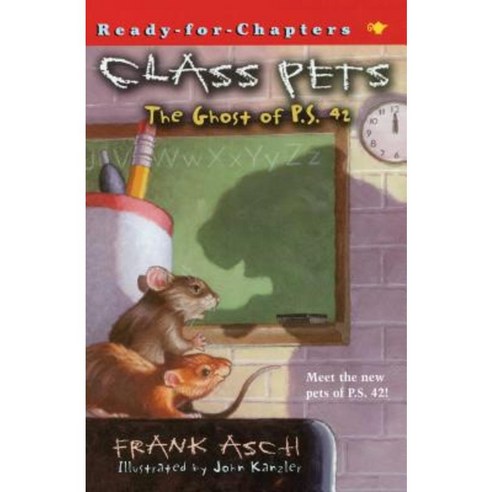 The Ghost of P.S. 42 Paperback, Aladdin Paperbacks