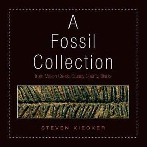 A Fossil Collection Paperback, Lulu.com