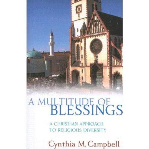 A Multitude of Blessings: A Christian Approach to Religious Diversity Paperback, Westminster John Knox Press
