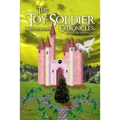 The Toy Soldier Chronicles: Book 1: The Beginning Paperback, Dorrance Publishing Co.