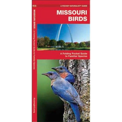 Missouri Birds: A Folding Pocket Guide To Familiar Species Paperback ...