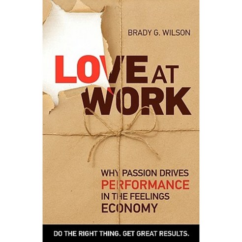 Love at Work: Why Passion Drives Performance in the Feelings Economy Paperback, BPS Books