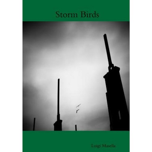 Storm Birds Paperback, Lulu.com