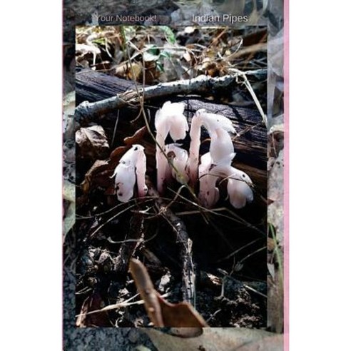 Your Notebook! Indian Pipes Paperback, Createspace Independent Publishing Platform