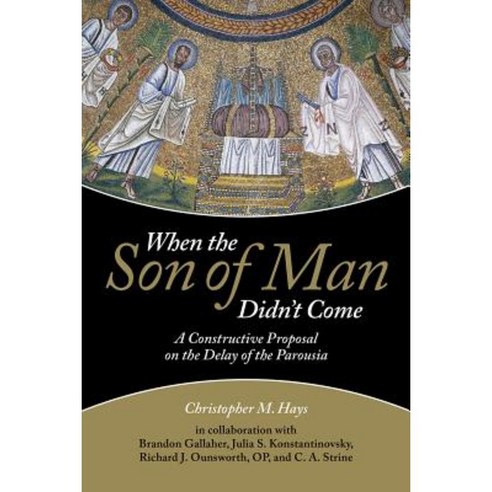 When the Son of Man Didn''t Come Paperback, Augsburg Fortress Publishing