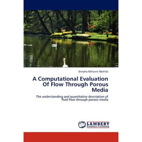 A Computational Evaluation of Flow Through Porous Media Paperback, LAP Lambert Academic Publishing