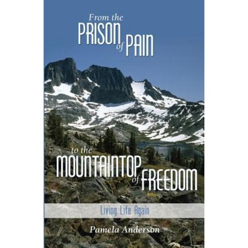 From the Prison of Pain to the Mountain Top of Freedom Paperback, Redemption Press