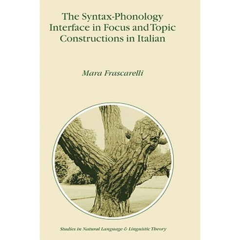 The Syntax-Phonology Interface in Focus and Topic Constructions in Italian Hardcover, Springer