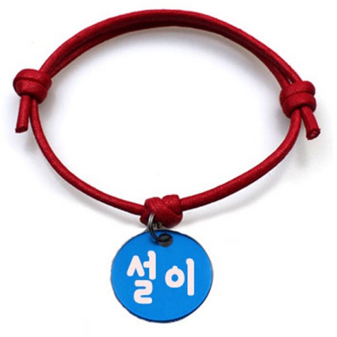펫츠룩 굿모닝 레드 반려동물 목걸이 S + 알미늄 원형 팬던트 M, 블루(설이), 1개