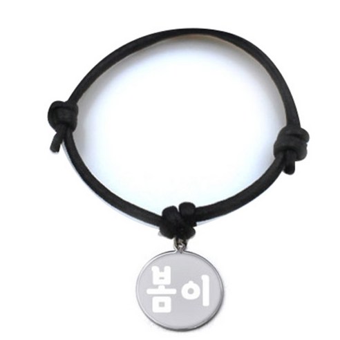 펫츠룩 굿모닝 블랙 반려동물 목걸이 S + 메탈원형 팬던트 S, 실버(봄이), 1개