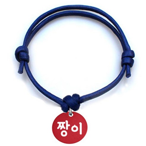 펫츠룩 굿모닝 블루 반려동물 목걸이 S + 알미늄원형 팬던트 M, 레드(짱이), 1개