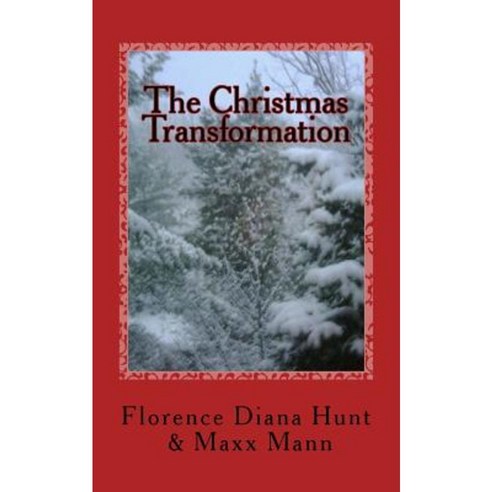 The Christmas Transformation: A Fairytale about Love Trust and Faith... Paperback, Createspace