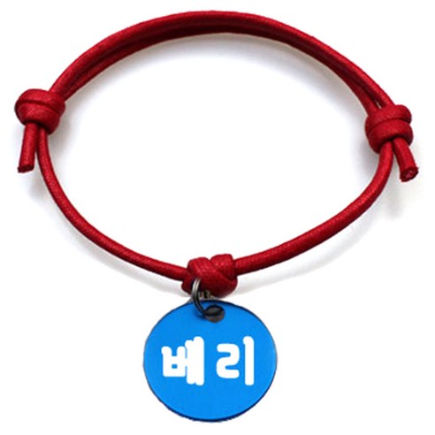 펫츠룩 굿모닝 레드 반려동물 목걸이 M + 알미늄원형 팬던트 S, 블루(베리), 1개