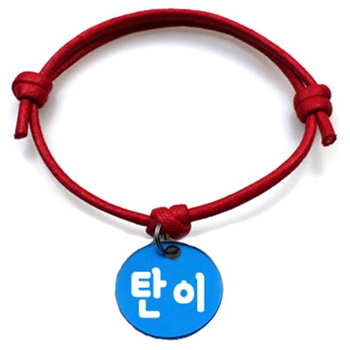 펫츠룩 굿모닝 레드 반려동물 목걸이 M + 알미늄원형 팬던트 S, 블루(탄이), 1개