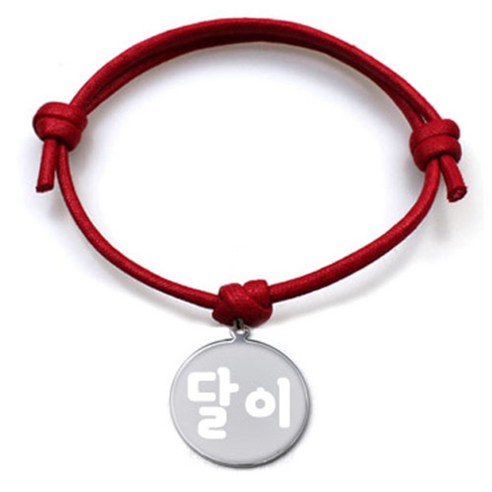 펫츠룩 굿모닝 레드 반려동물 목걸이 M + 메탈원형 팬던트 M, 실버(달이), 1개