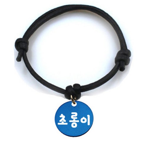 펫츠룩 굿모닝 블랙 반려동물 목걸이 S + 알미늄원형 팬던트 M, 블루(초롱이), 1개