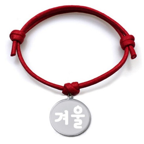 펫츠룩 굿모닝 레드 반려동물 목걸이 M + 메탈원형 팬던트 M, 실버(겨울), 1개