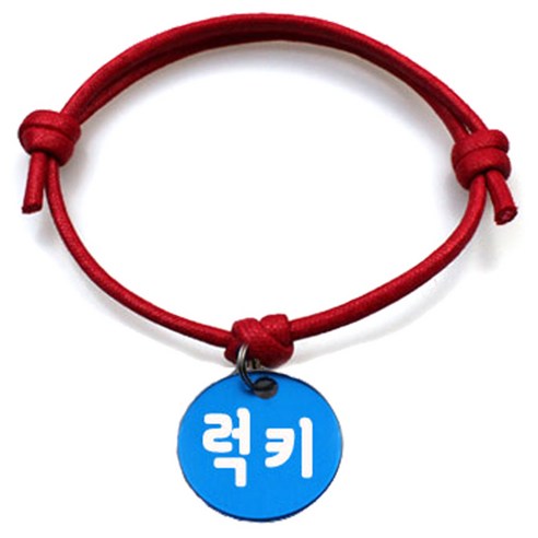펫츠룩 굿모닝 레드 반려동물 목걸이 M + 알미늄원형 팬던트 S, 블루(럭키), 1개
