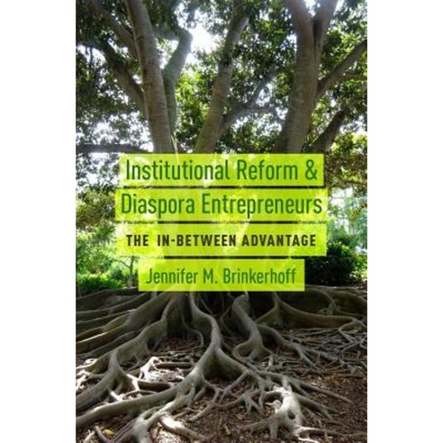 Institutional Reform and Diaspora Entrepreneurs: The In-Between Advantage Hardcover, Oxford University Press, USA