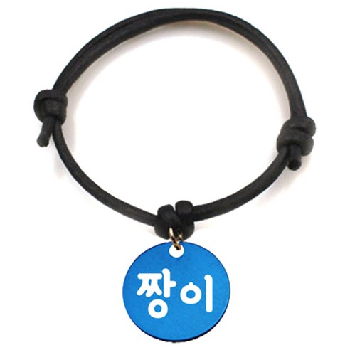펫츠룩 굿모닝 블랙 반려동물 목걸이 S + 알미늄원형 팬던트 S, 블루(짱이), 1개
