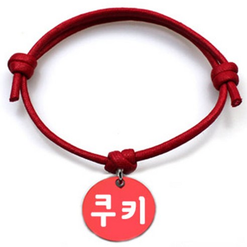 펫츠룩 굿모닝 레드 반려동물 목걸이 M + 알미늄원형 팬던트 M, 레드(쿠키), 1개