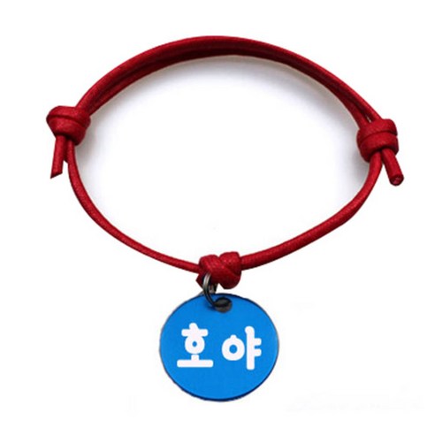 펫츠룩 굿모닝 레드 반려동물 목걸이 M + 알미늄원형 팬던트 M, 블루(호야), 1개