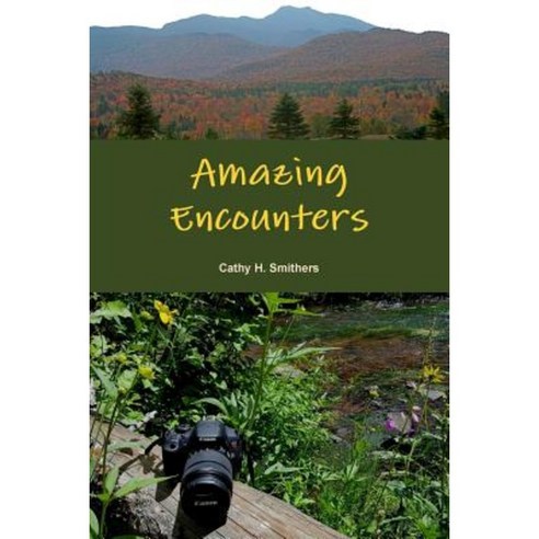 Amazing Encounters Paperback, Lulu.com - 가격 변동 추적 그래프 - 역대가