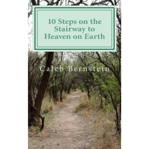 10 Steps on the Stairway to Heaven on Earth: #Learnfrommymistakes Paperback, Createspace