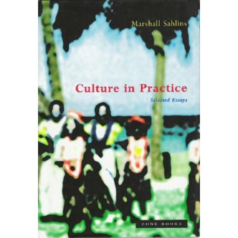 Culture in Practice: Selected Essays Paperback, Zone Books - 가격 변동 추적 ...