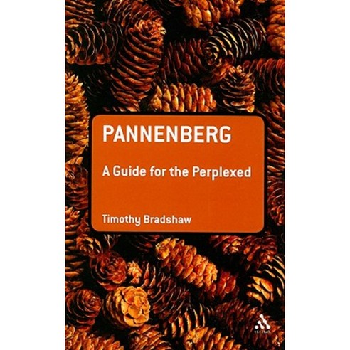 Pannenberg: A Guide for the Perplexed Paperback, T & T Clark International
