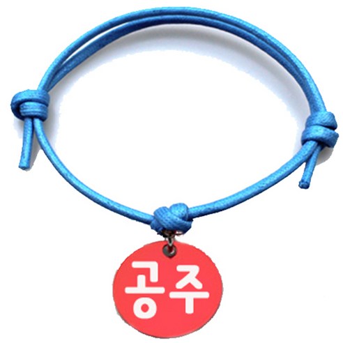 펫츠룩 굿모닝 블루 반려동물 목걸이 M + 원형 팬던트 M, 공주(레드), 1개