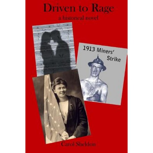Driven to Rage: A Historical Novel Paperback, Createspace Independent Publishing Platform
