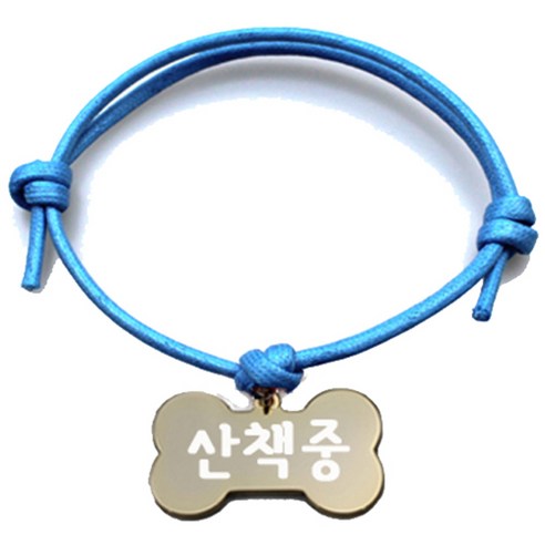 펫츠룩 굿모닝 블루 반려동물 목걸이 M + 메탈뼈다귀 팬던트 M, 골드(산책중), 1개