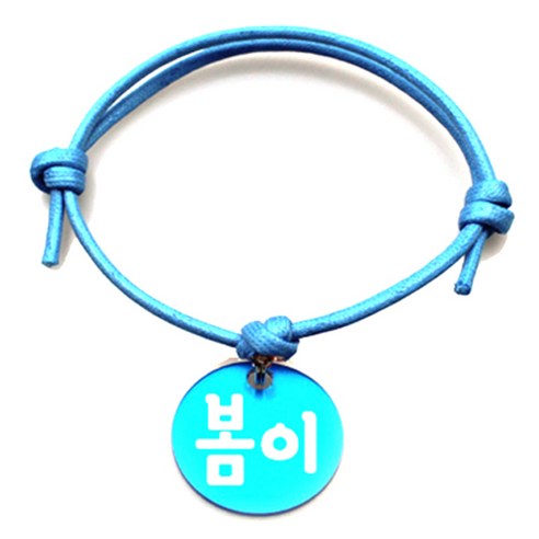 펫츠룩 굿모닝 블루 반려동물 목걸이 M + 알미늄원형 팬던트 M, 블루(봄이), 1개