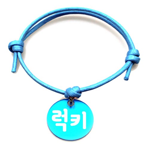 펫츠룩 굿모닝 블루 반려동물 목걸이 M + 알미늄원형 팬던트 M, 블루(럭키), 1개