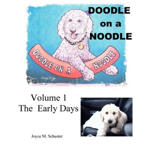 Doodle on a Noodle: Volume 1 the Early Days Paperback, Jschuster