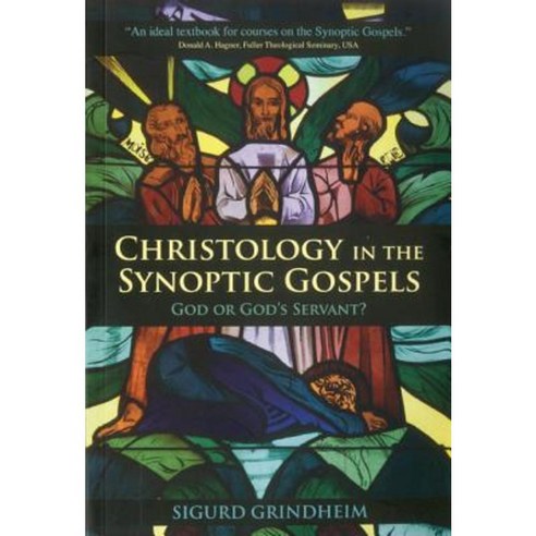 Christology in the Synoptic Gospels: God or God''s Servant Paperback, T & T Clark International