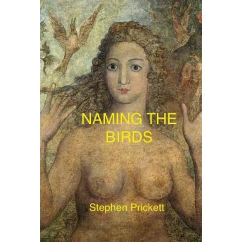 Naming the Birds: N/A Paperback, Createspace
