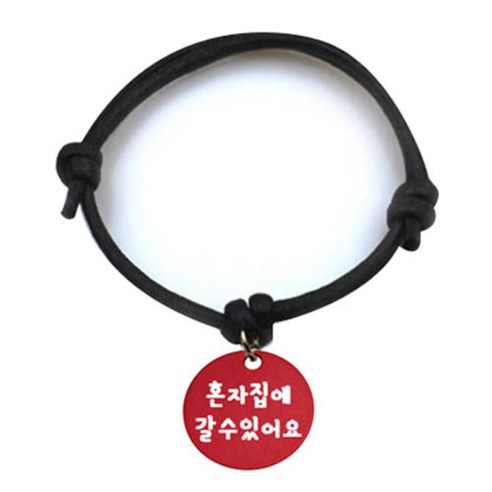 펫츠룩 굿모닝 블랙 반려동물 목걸이 M + 알미늄원형 팬던트 M, 레드(혼자집에갈수있어요), 1개