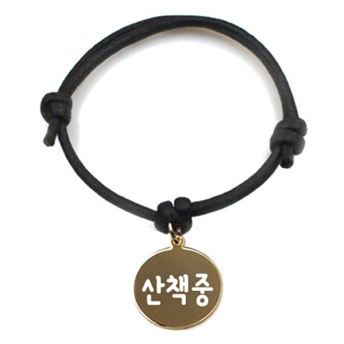펫츠룩 굿모닝 블랙 반려동물 목걸이 M + 메탈원형 팬던트 S, 골드(산책중), 1개