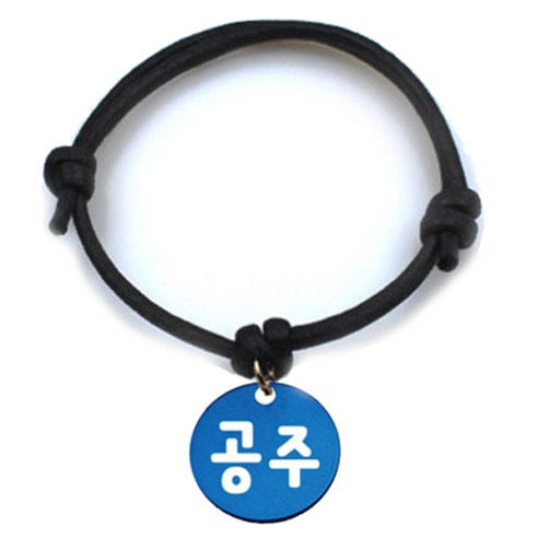 펫츠룩 굿모닝 블랙 반려동물 목걸이 M + 알미늄 원형 팬던트 S, 블루(공주), 1개