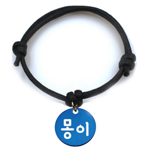 펫츠룩 굿모닝 블랙 반려동물 목걸이 M + 알미늄 원형 팬던트 S, 블루(몽이), 1개