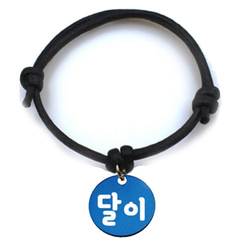 펫츠룩 굿모닝 블랙 반려동물 목걸이 M + 알미늄 원형 팬던트 S, 블루(달이), 1개