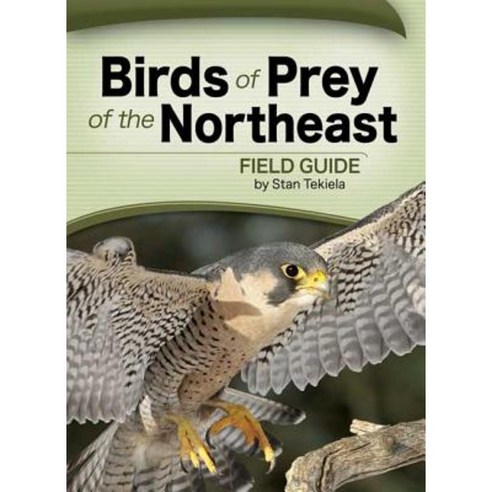 Birds of Prey of the Northeast Field Guide Paperback, Adventurekeen