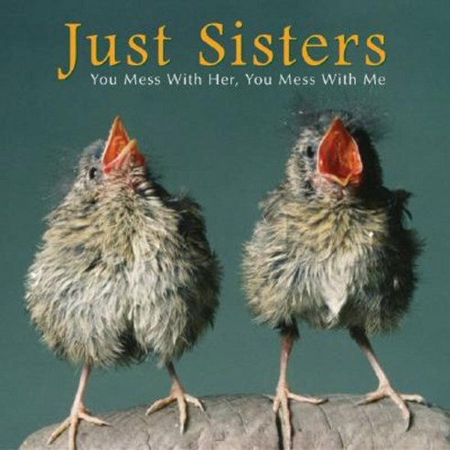 Just Sisters: You Mess with Her You Mess with Me Hardcover, Willow Creek Press