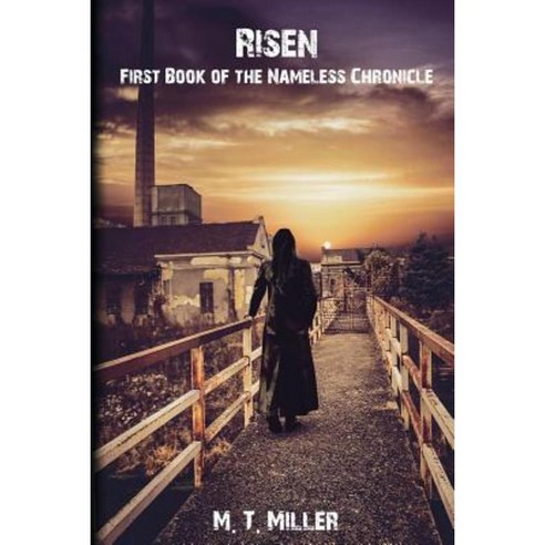 Risen: First Book of the Nameless Chronicle Paperback, Createspace Independent Publishing Platform
