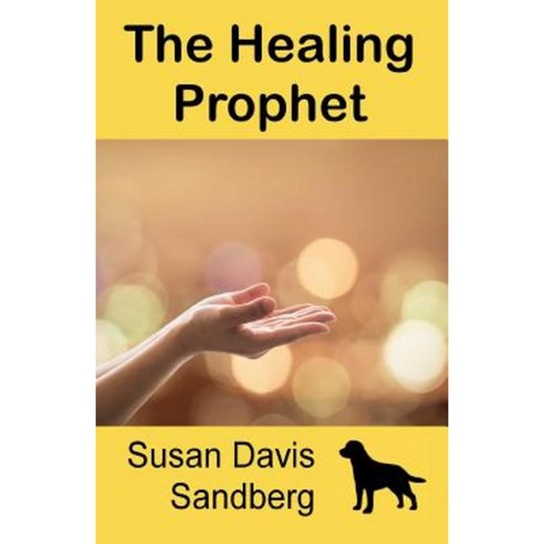 The Healing Prophet Paperback, Susan Davis Sandberg