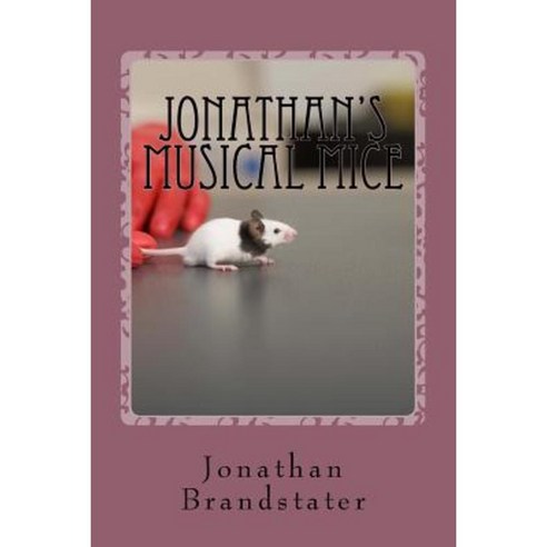 Jonathan''s Musical Mice: A Spot the Differences Book Paperback, Createspace Independent Publishing Platform