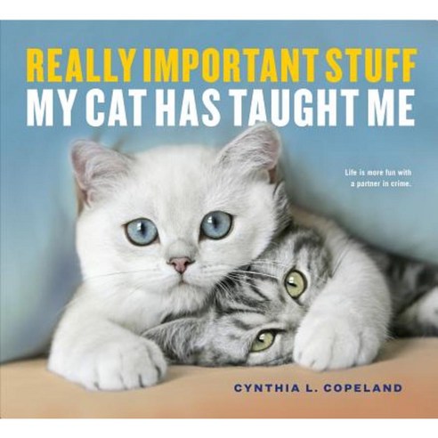 Really Important Stuff My Cat Has Taught Me Paperback, Workman Publishing